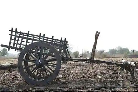bullock cart