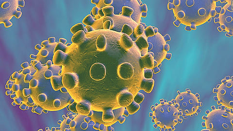 corona virus