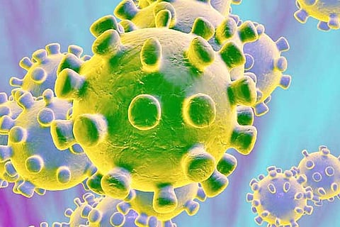 corona-virus