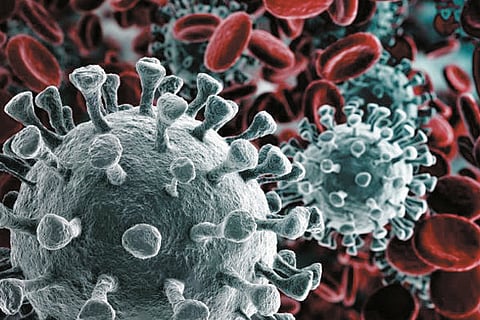 corona virus2