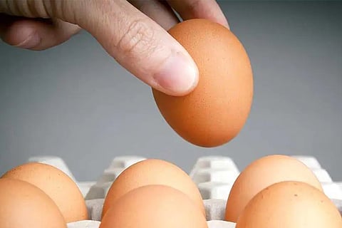 duck eggs