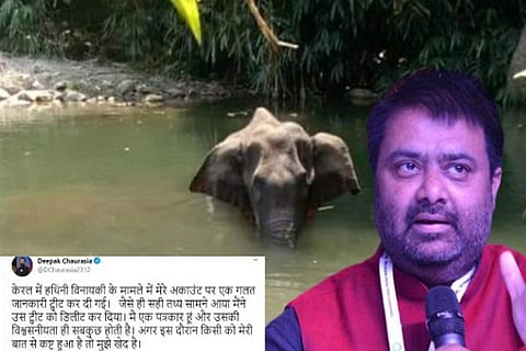 elephant