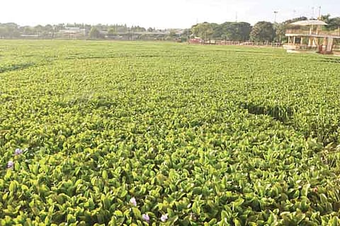h10-Unkal 1