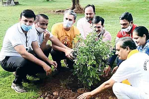 h21-grow green