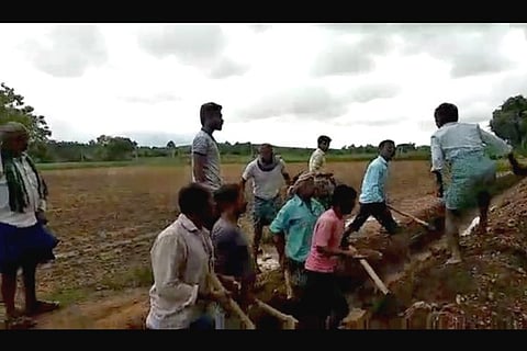 hanagal-farmland