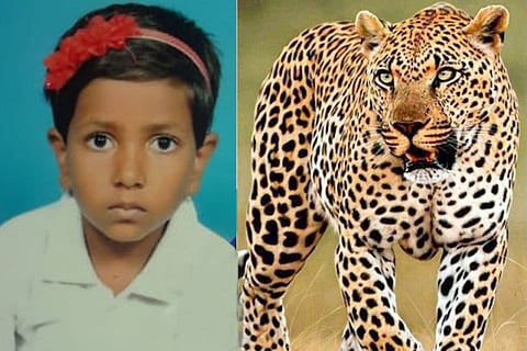 kunigal cheetha