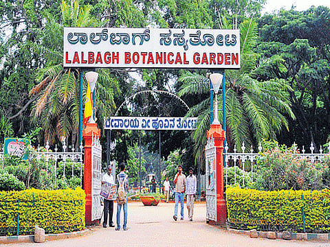 lalbagh