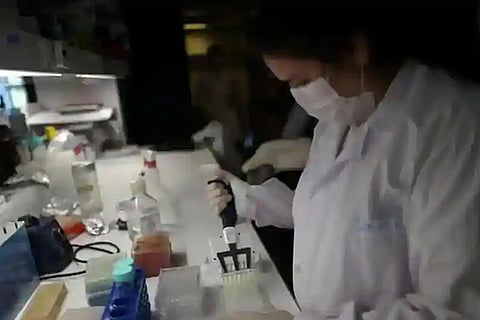 oxford vaccine