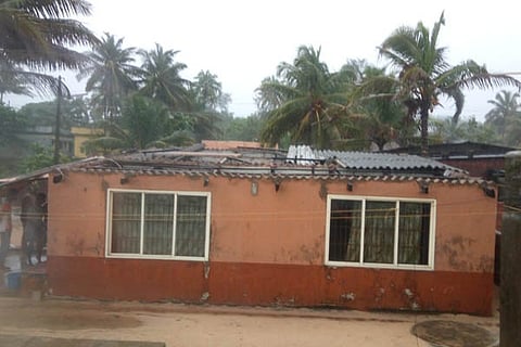 rain new