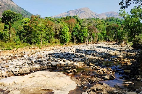 river new