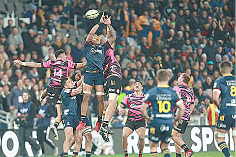 rugby_web-1