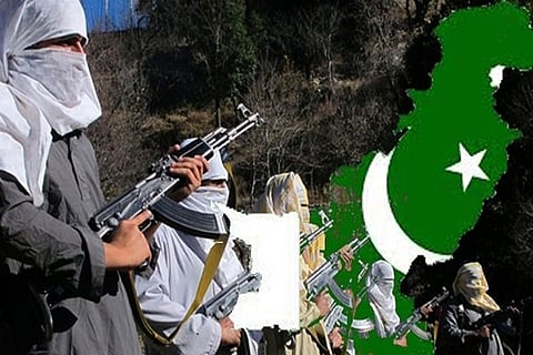 terroristweb