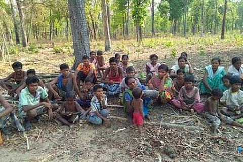 tribalweb