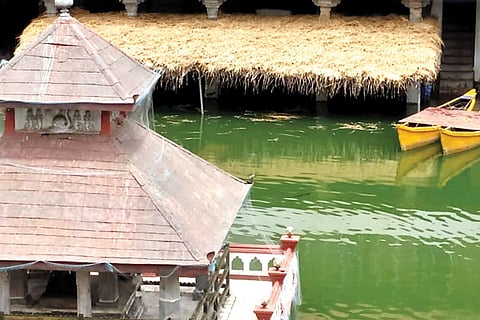 ttaditional roof