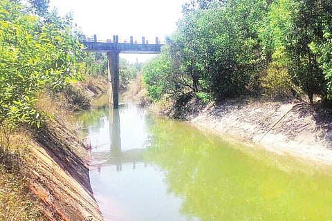 varahi