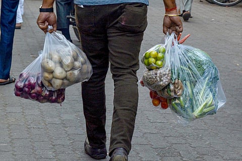 vegetable