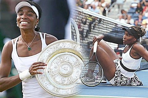 venus williams_web
