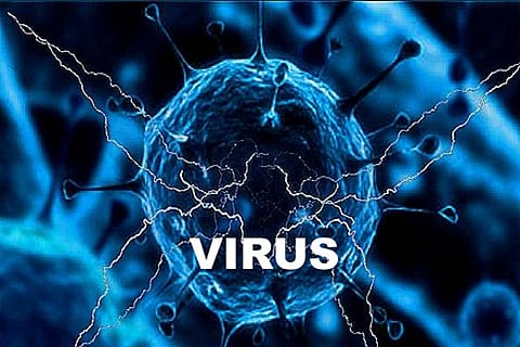 virus