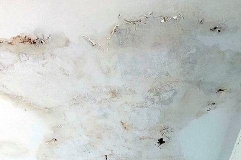 20 MDG 02a