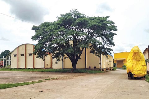23HLY-1