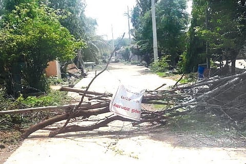 2KOKATANUR1(1)-Web