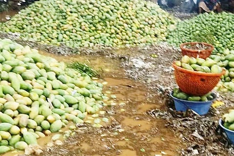 30 shrnivasapura 2