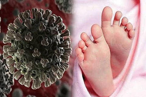 8 month baby covid 19 case