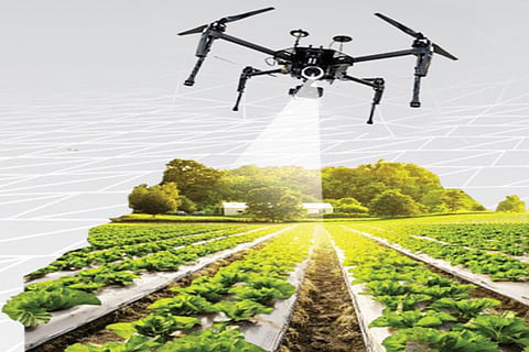 Dron