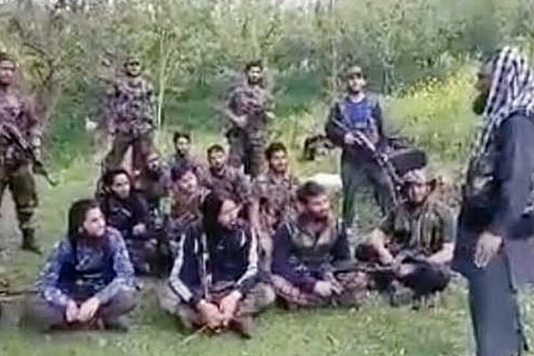 Hizbul