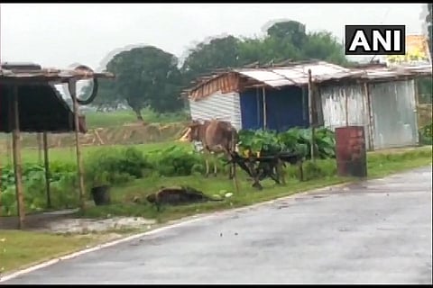 Maafi tola Kishanganj bihar