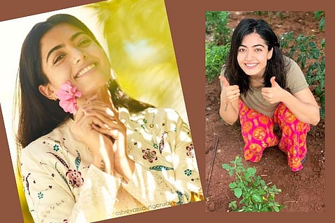 Rashmika Mandanna - Final