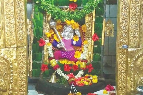 SVL-Kammaragatte18(1)