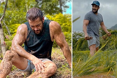Salman Khan - Final