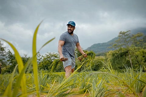 Salman Khan - Final