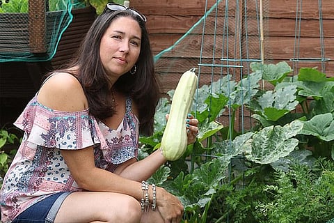 Vegetable