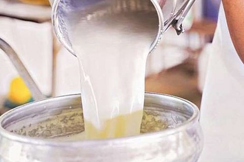 Veraka Milk