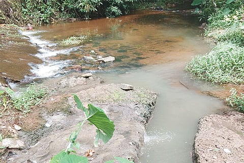 aanekere