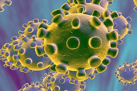 coronavirus-