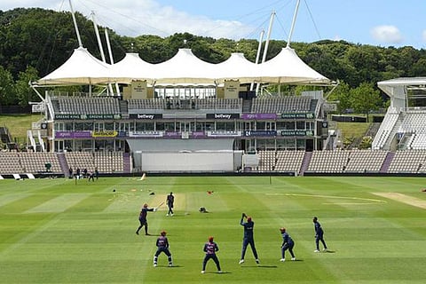 cricket