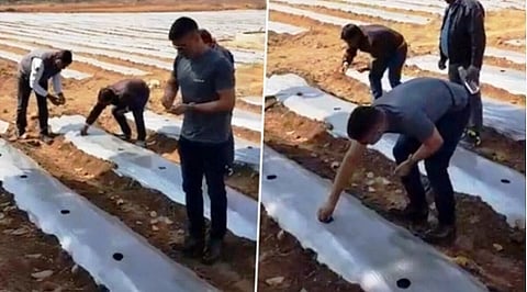 dhoni farm