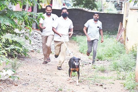 dvg tunga dog july 20-1