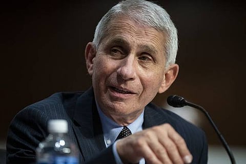 fauci-7