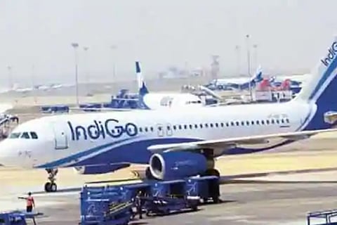 indigo