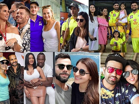 ipl wags