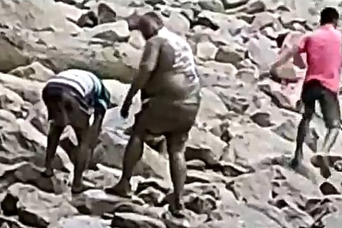 mla rescued