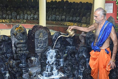 nagara panchami new