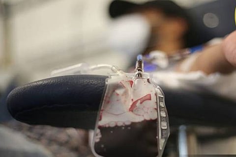 plasma donor
