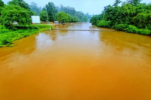 rain new