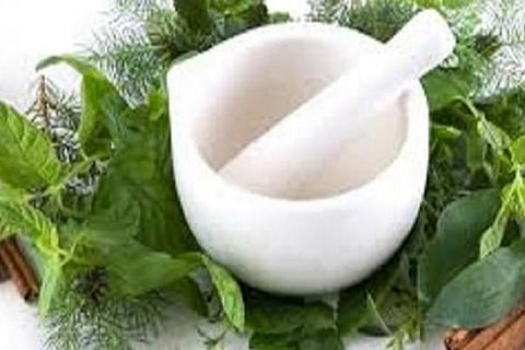 siddha medicine