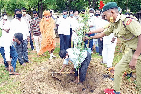 050820 Koppal Lakhs Tree Festival Gavishree Drive